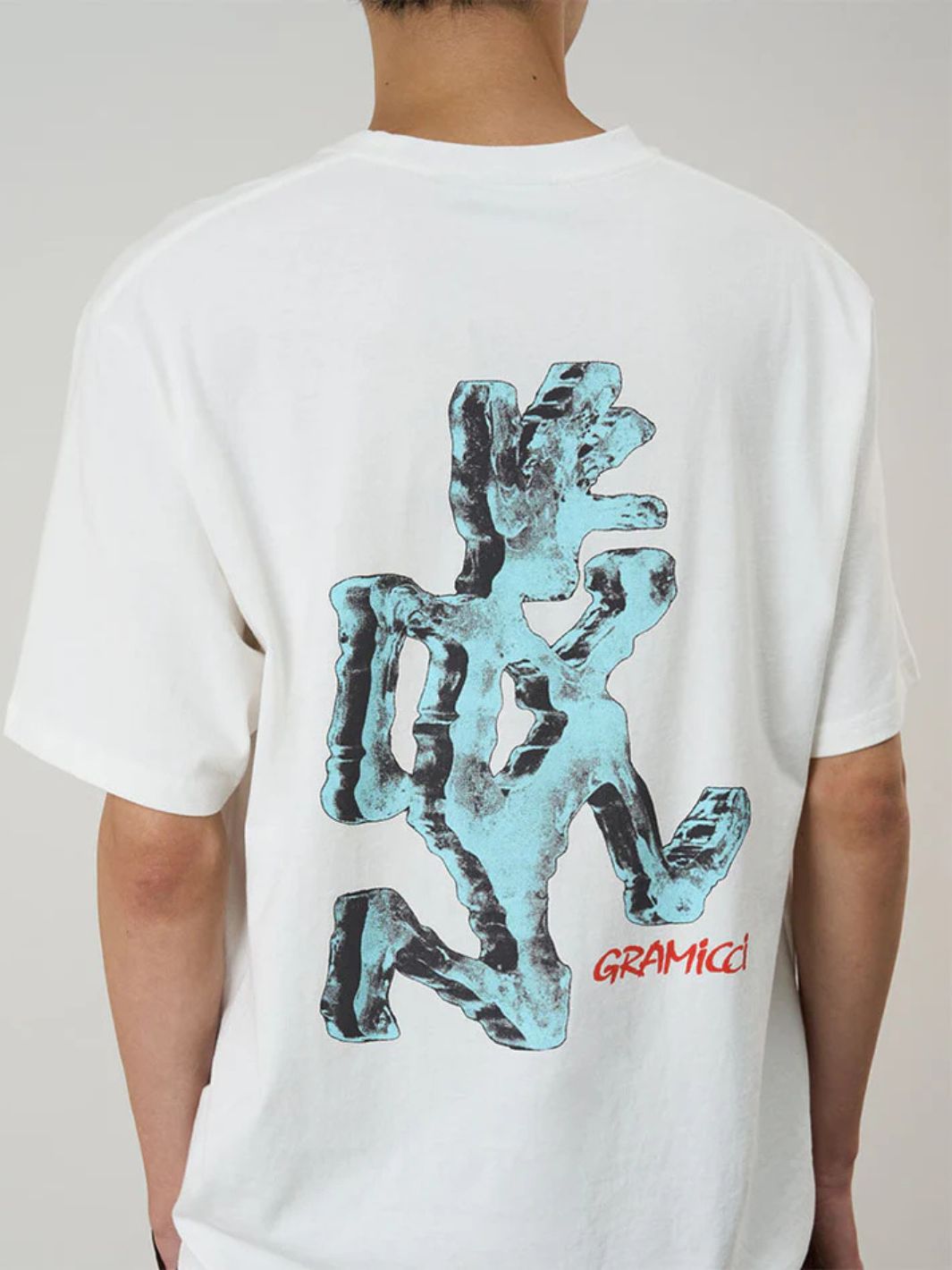 Gramicci Tees & Longsleeves T-skjorte | Ice Sculpture Tee White