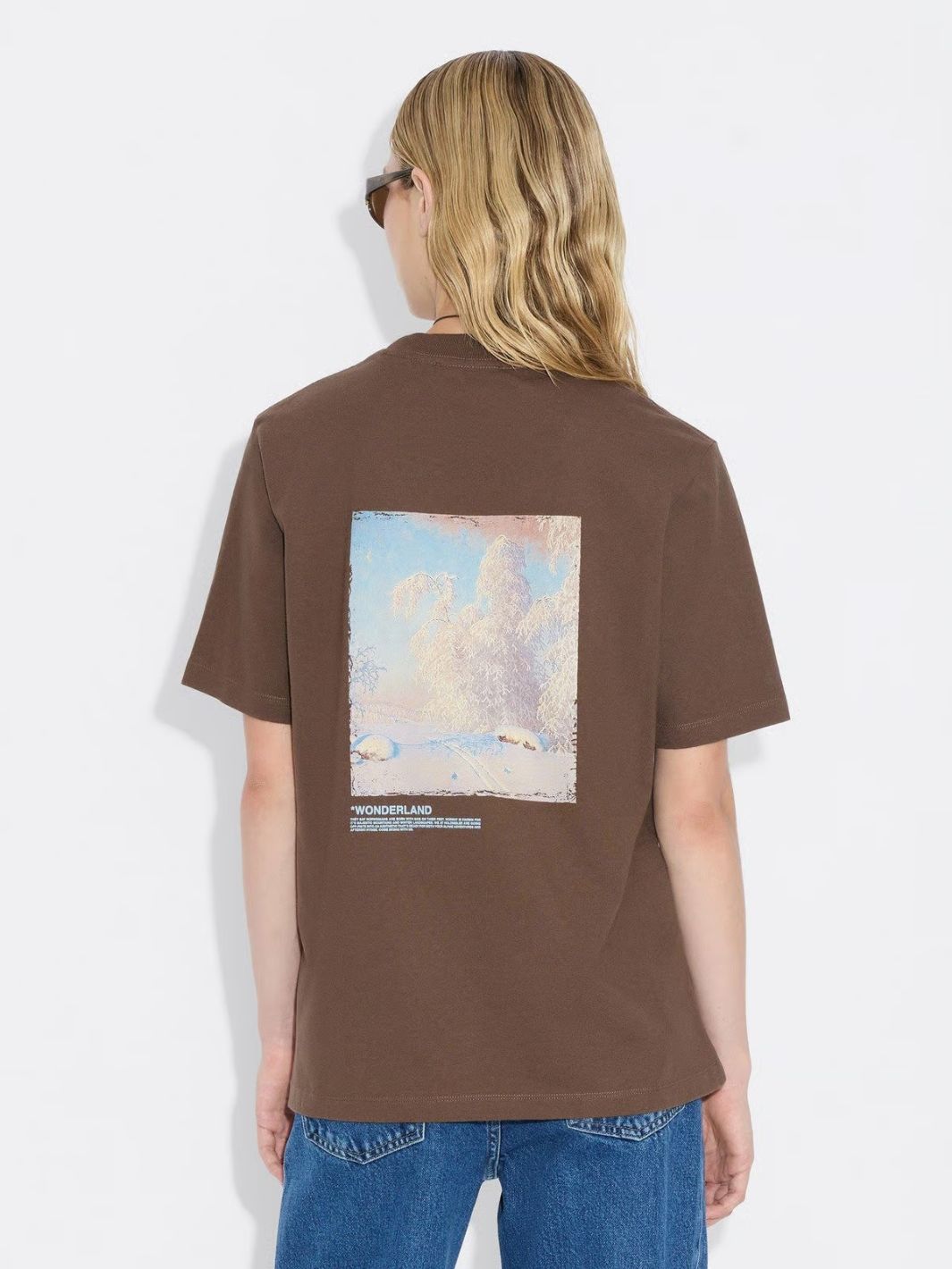 Holzweiler Tees & Longsleeves T-Skjorte | Kjerag National Tee Brown