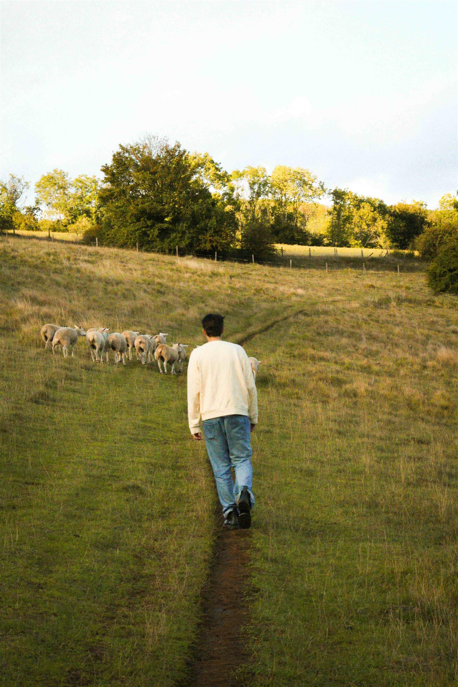 Hotel Sweaters Genser | Trunk Slogan Crewneck Cream